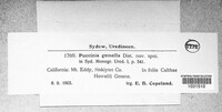 Image Associated With the Occurence